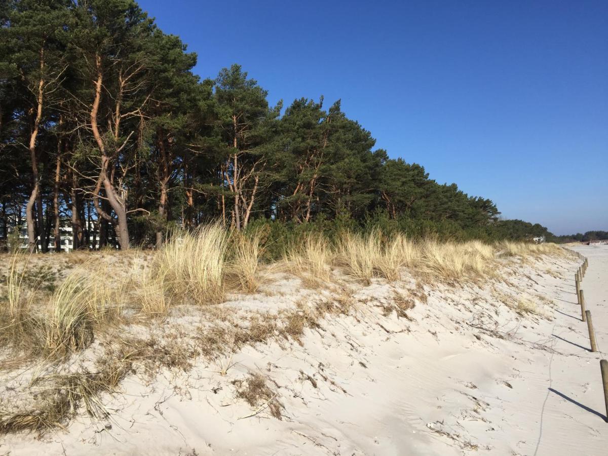 Am Meer Apartment *