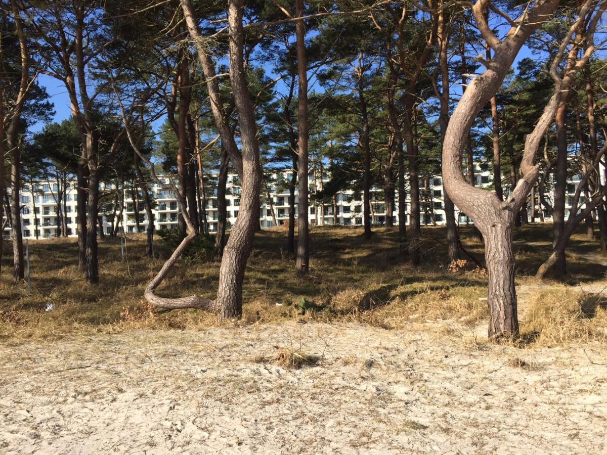 Am Meer * Binz